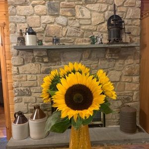 Meet your Posher, Tracy